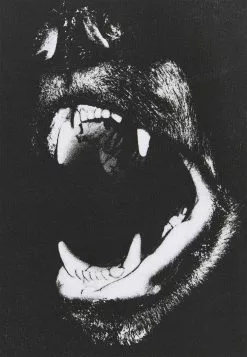 YOURTURN Prix Raisonnable UNISEX - T-shirt imprimé t shirt Col rond all -Vêtements Boutique 58bb31f561364d32afd21d152180aa2a