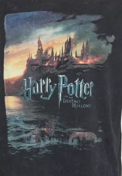 YOURTURN HARRY POTTER LANDSCAPE TEE - T-shirt imprimé Prix Discount t shirt Col rond all -Vêtements Boutique 731a36bc8ce5486193aee297453d8f16